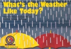 What's the weather like today?