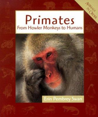 Primates : from howler monkeys to humans