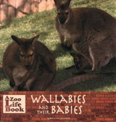 Wallabies and their babies