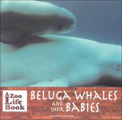 Mother beluga whales and their babies