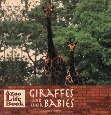 Giraffes and their babies