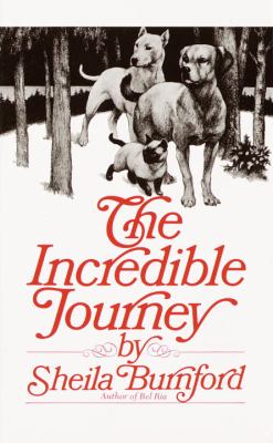 The incredible journey