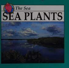 Sea plants