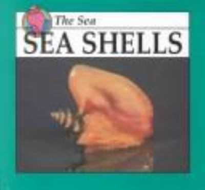 Sea shells : the sea