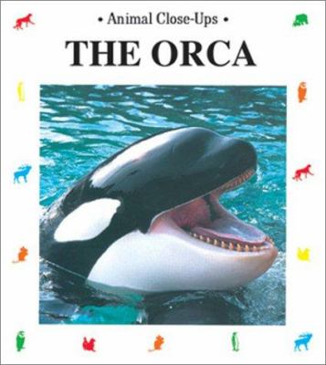 The orca, admiral of the sea