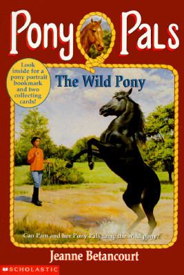 The wild pony