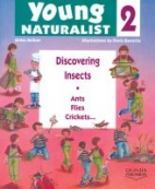 Discovering insects : ants, flies, crickets