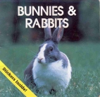 Bunnies & rabbits