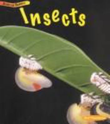 Insects