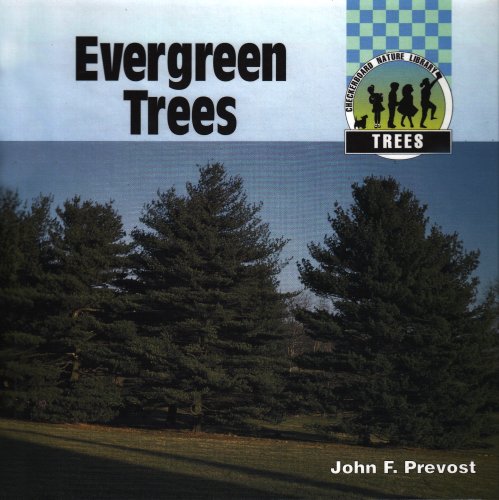 Evergreen trees