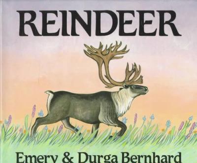 Reindeer