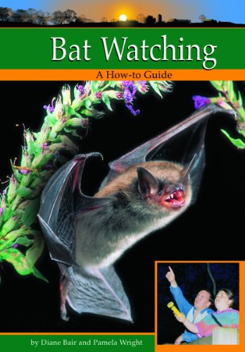 Bat Watching