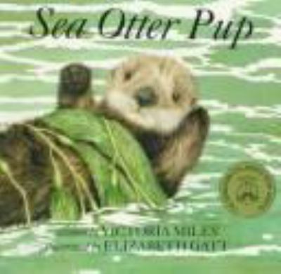 Sea otter pups