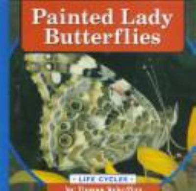 Painted lady butterflies