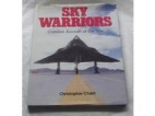 Sky warriors : combat aircraft of the '90s