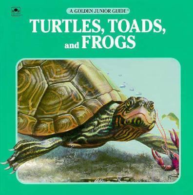Turtles, toads, and frogs