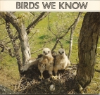 Birds we know