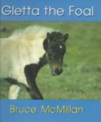 Gletta the foal