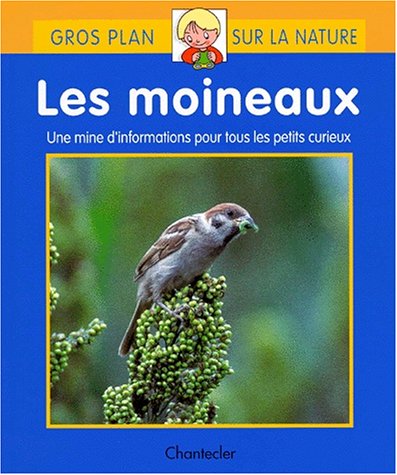 Les moineaux : Une mine d'informations pour tous les petits curieux.