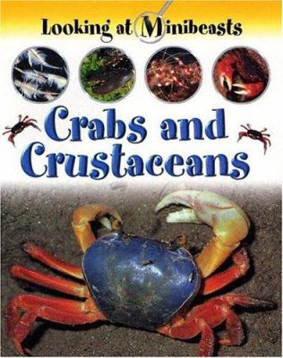 Crabs and crustaceans