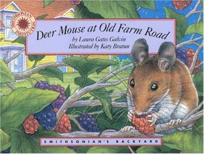 Deer Mouse at Old Farm Road