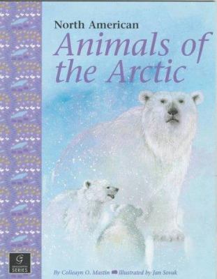North American animals of the arctic