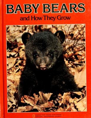 Baby bears and how they grow