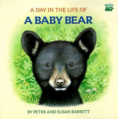 A day in the life of a baby bear : the cub's first swim