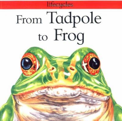 From tadpole to frog