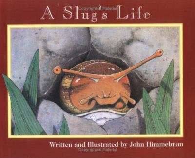 A slug's life