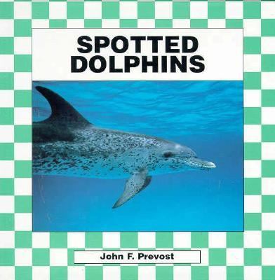 Spotted dolphins