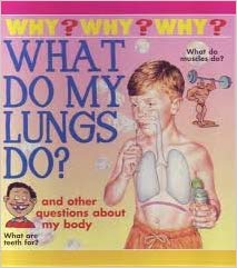 What do my lungs do?