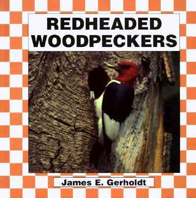 Red-headed woodpeckers
