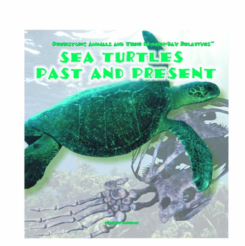 Sea turtles : past and present