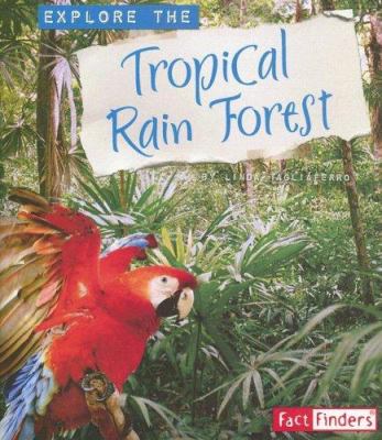 Explore the tropical rain forest