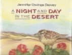 A night and day in the desert