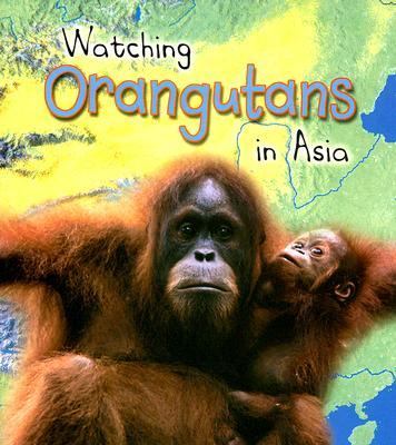 Watching orangutans in Asia