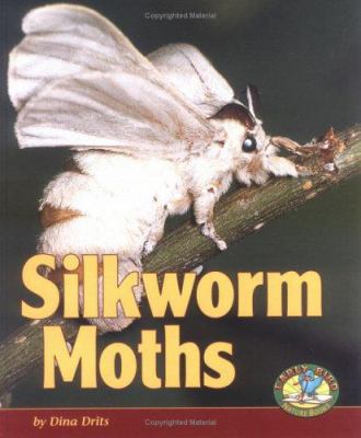 Silkworm moths