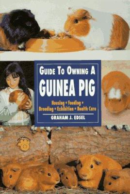 The guide to owning a guinea pig