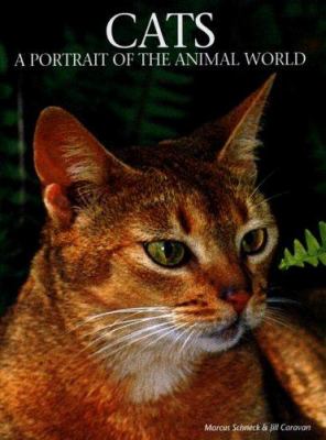 Cats : a portrait of the animal world