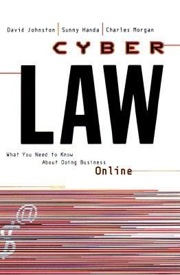 Cyberlaw : what you need to know about doing business online