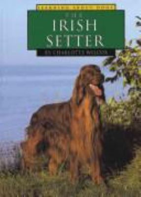 The Irish setter