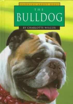 The bulldog