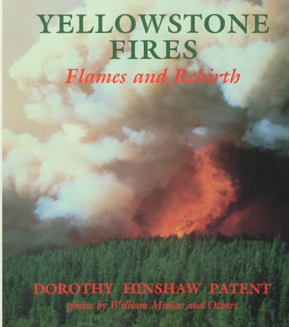 Yellowstone fires : flames and rebirth
