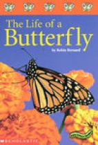 The life of a butterfly