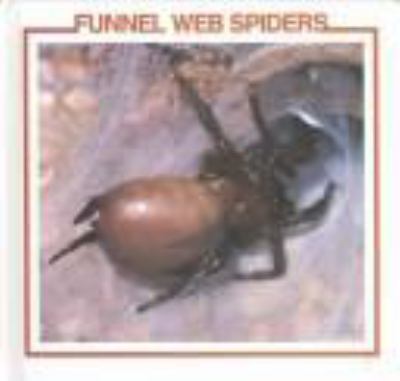 Funnel web spiders