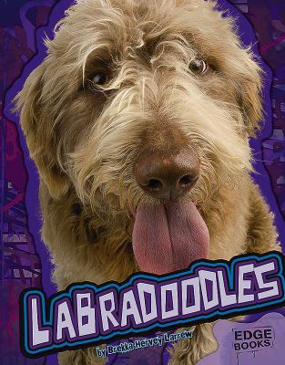 Labradoodles