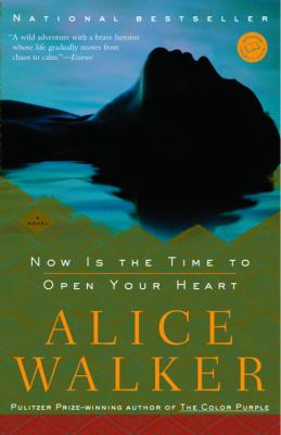 Now is the time to open your heart : a novel