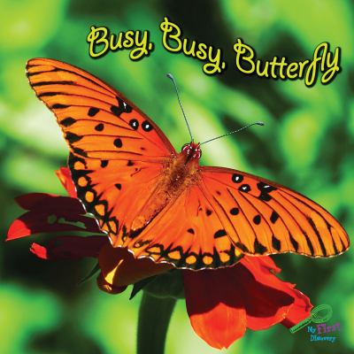 Busy, busy, butterfly