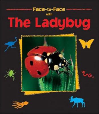 Face-to-face with the ladybug